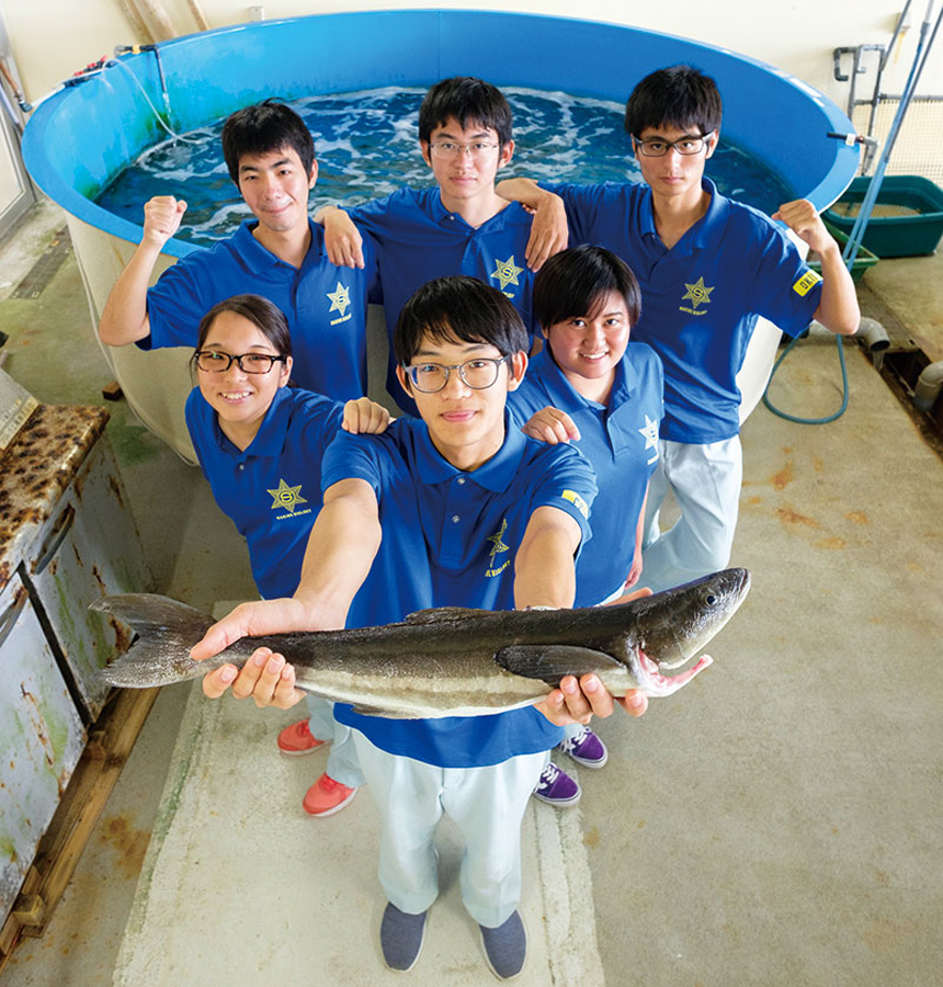 沖縄水産高等学校 海洋生物系列 自分たちで育てたフルーツ魚 沖縄の進学情報シンガク図鑑